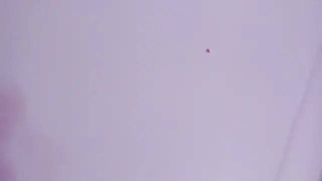 Snapshot of lovely__kiss__ chatting on March 2026 06:13:01 PM lovely kiss online show from March 2026 06:13:01 PM