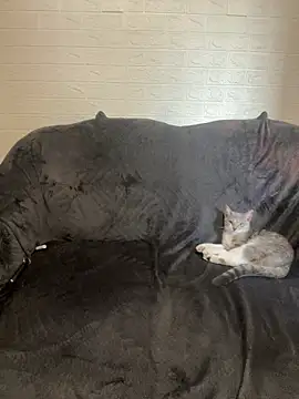 AlisRoxy online show from February 2026 02:14:01 PM