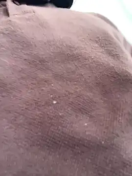 santiObrero online show from February 2026 02:58:02 PM