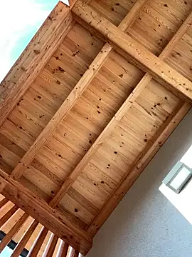 Snapshot of DaleBoca chatting on March 2026 04:23:01 PM DaleBoca online show from March 2026 04:23:01 PM