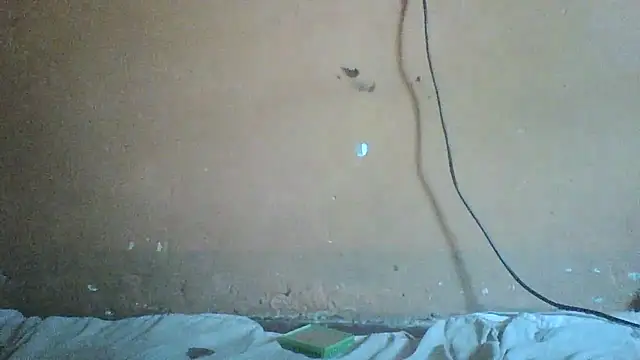 Snapshot of Sexyass100 chatting on April 2026 10:07:02 AM Sexyass100 online show from April 2026 10:07:02 AM