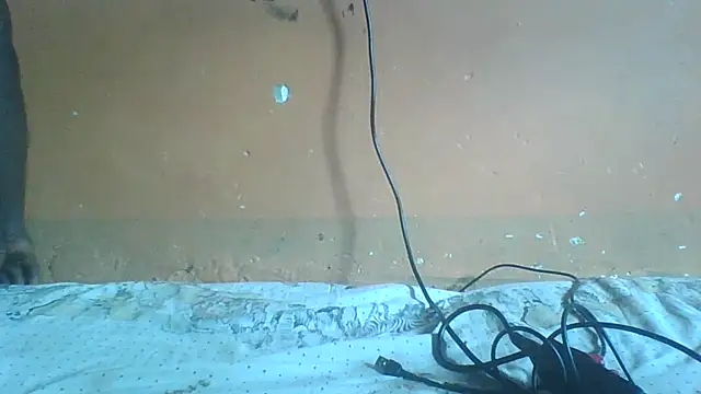 Snapshot of Sexyass100 chatting on April 2026 12:52:02 PM Sexyass100 online show from April 2026 12:52:02 PM