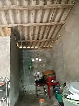 Nuna 689 online show from April 2026 02:34:02 AM