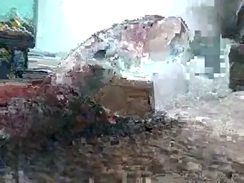 DB boy online show from April 2026 11:31:01 PM