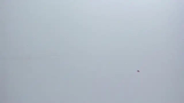 Snapshot of Melanie__Evans chatting on March 2026 10:51:01 AM Melanie Evans online show from March 2026 10:51:01 AM