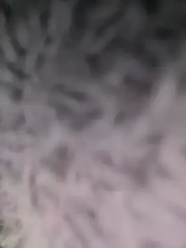 Snapshot of Puka2001 chatting on March 2026 06:14:01 AM Puka2001 online show from March 2026 06:14:01 AM