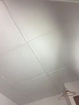 Snapshot of vanilla_Kush chatting on March 2026 08:09:01 AM vanilla Kush online show from March 2026 08:09:01 AM