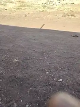 Snapshot of PrivateMeetX chatting on April 2026 03:59:02 AM PrivateMeetX online show from April 2026 03:59:02 AM