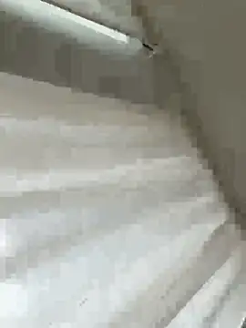 Sara0202 online show from February 2026 12:01:02 PM