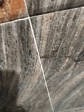 Bengal Tiger420 online show from April 2026 06:33:02 PM