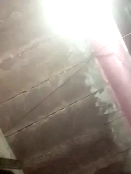 Dipti hote online show from February 2026 02:32:02 PM