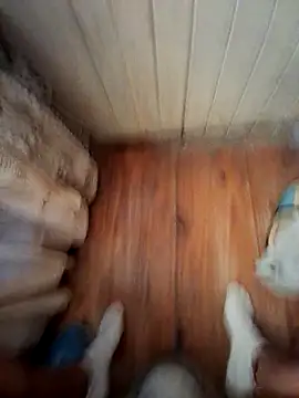 Franco10 - online show from February 2026 09:11:02 PM