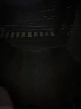 kekely online show from July 2026 02:03:02 PM
