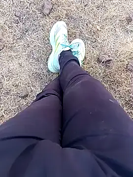 babu bull online show from February 2026 12:41:01 PM