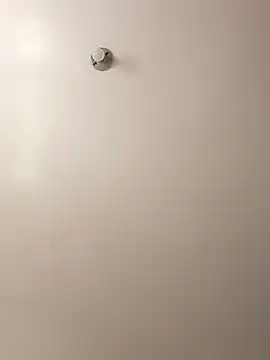 Cati cat3 online show from February 2026 04:43:02 PM