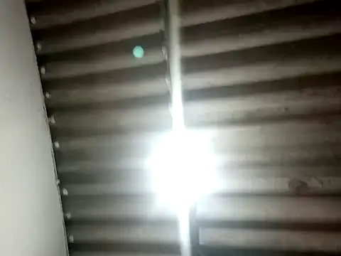 Cati cat3 online show from March 2026 11:37:01 AM