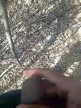 Cute Boy 4 online show from February 2026 08:01:02 AM