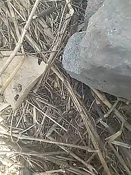 Cute Boy 4 online show from March 2026 10:00:01 AM