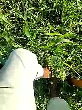 Cute Boy 4 online show from April 2026 02:53:02 AM