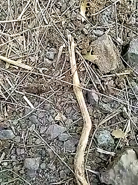 Cute Boy 4 online show from April 2026 07:30:01 AM