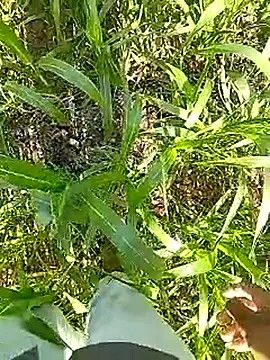 Cute Boy 4 online show from April 2026 03:34:02 AM