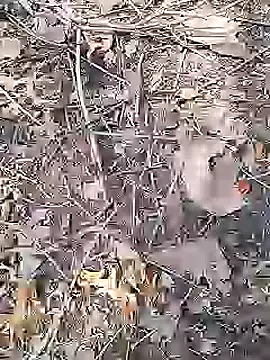 Cute Boy 4 online show from April 2026 09:08:01 AM