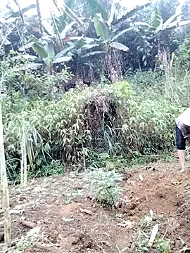 Tina-beo online show from April 2026 08:18:02 AM