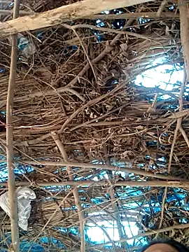 Snapshot of Rajni248096 chatting on March 2026 07:58:02 AM Rajni248096 online show from March 2026 07:58:02 AM