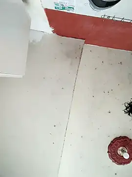 Snapshot of cynliu chatting on April 2026 02:23:01 PM cynliu online show from April 2026 02:23:01 PM