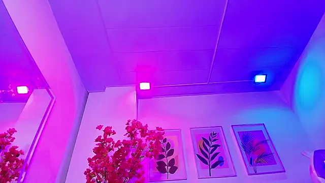 Maddie T18 online show from February 2026 11:42:02 PM