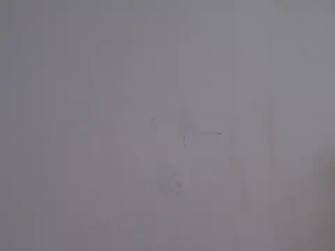 Snapshot of placerverdadero chatting on February 2026 05:48:02 AM placerverdadero online show from February 2026 05:48:02 AM