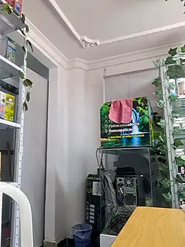 Tatianna Loove  online show from February 2026 02:35:01 PM