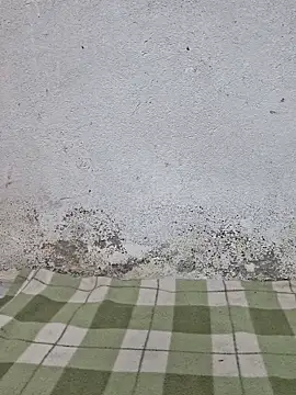 Snapshot of Mey_mey2k3 chatting on March 2026 04:48:01 AM Mey mey2k3 online show from March 2026 04:48:01 AM