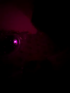 Snapshot of Raj_teluguboy chatting on March 2026 07:43:02 PM Raj teluguboy online show from March 2026 07:43:02 PM