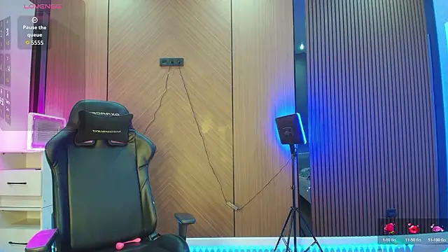 dionlee9 online show from February 2026 04:30:01 PM