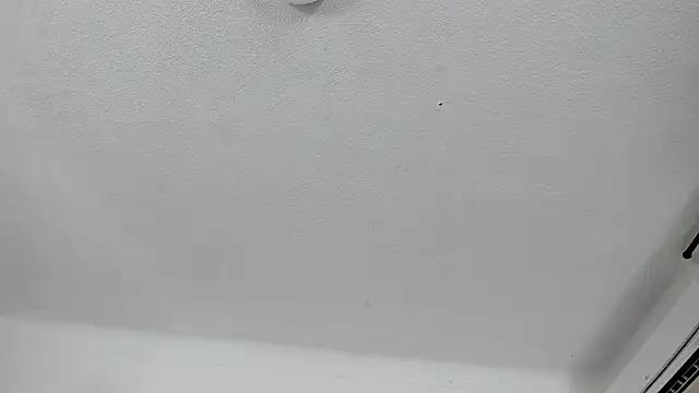 Nico Hillx online show from February 2026 11:01:01 PM