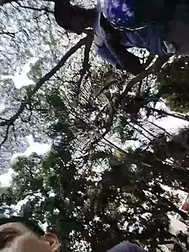 Snapshot of rejypool chatting on April 2026 05:06:02 PM rejypool online show from April 2026 05:06:02 PM