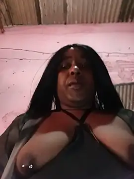 Hellentrans24 online show from June 2026 04:18:02 PM