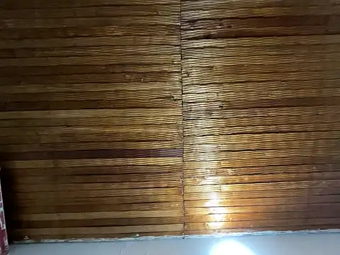 alison parkerr26 online show from February 2026 02:48:01 AM