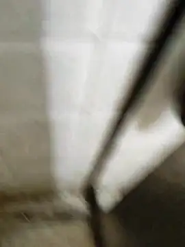 Snapshot of Gordinho_dos_pes chatting on March 2026 03:33:01 AM Gordinho dos pes online show from March 2026 03:33:01 AM