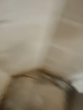 Snapshot of Gordinho_dos_pes chatting on April 2026 03:18:01 AM Gordinho dos pes online show from April 2026 03:18:01 AM