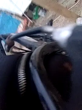 bigbooietx online show from February 2026 12:22:02 AM