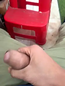 Castrol1289 online show from February 2026 07:45:02 AM