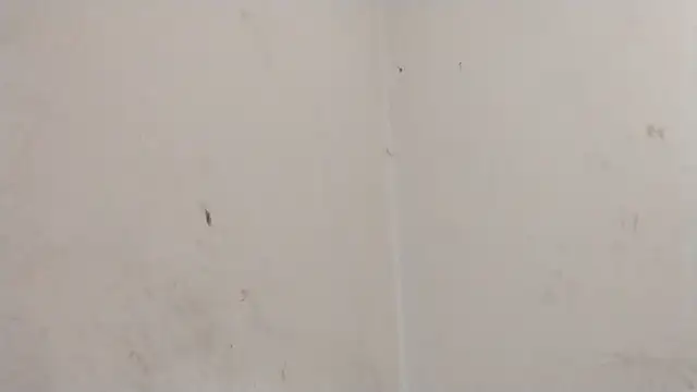 MisterSnowww online show from March 2026 09:55:01 PM