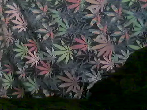 Snapshot of libraxxxstudios chatting on June 2026 09:59:02 AM libraxxxstudios online show from June 2026 09:59:02 AM