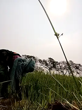 Royal hotti0011 online show from March 2026 03:55:01 AM