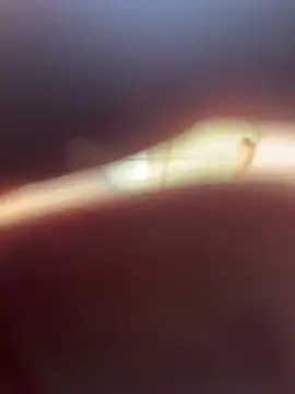 Snapshot of Kylxxx8 chatting on March 2026 10:04:02 AM Kylxxx8 online show from March 2026 10:04:02 AM