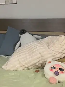 Snapshot of Rin-yiyi chatting on March 2026 02:21:02 PM Rin-yiyi online show from March 2026 02:21:02 PM