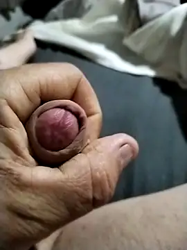 bigboydongi online show from April 2026 12:42:01 PM