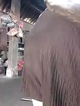 Snapshot of Nhoccon90 chatting on March 2026 05:44:01 AM Nhoccon90 online show from March 2026 05:44:01 AM